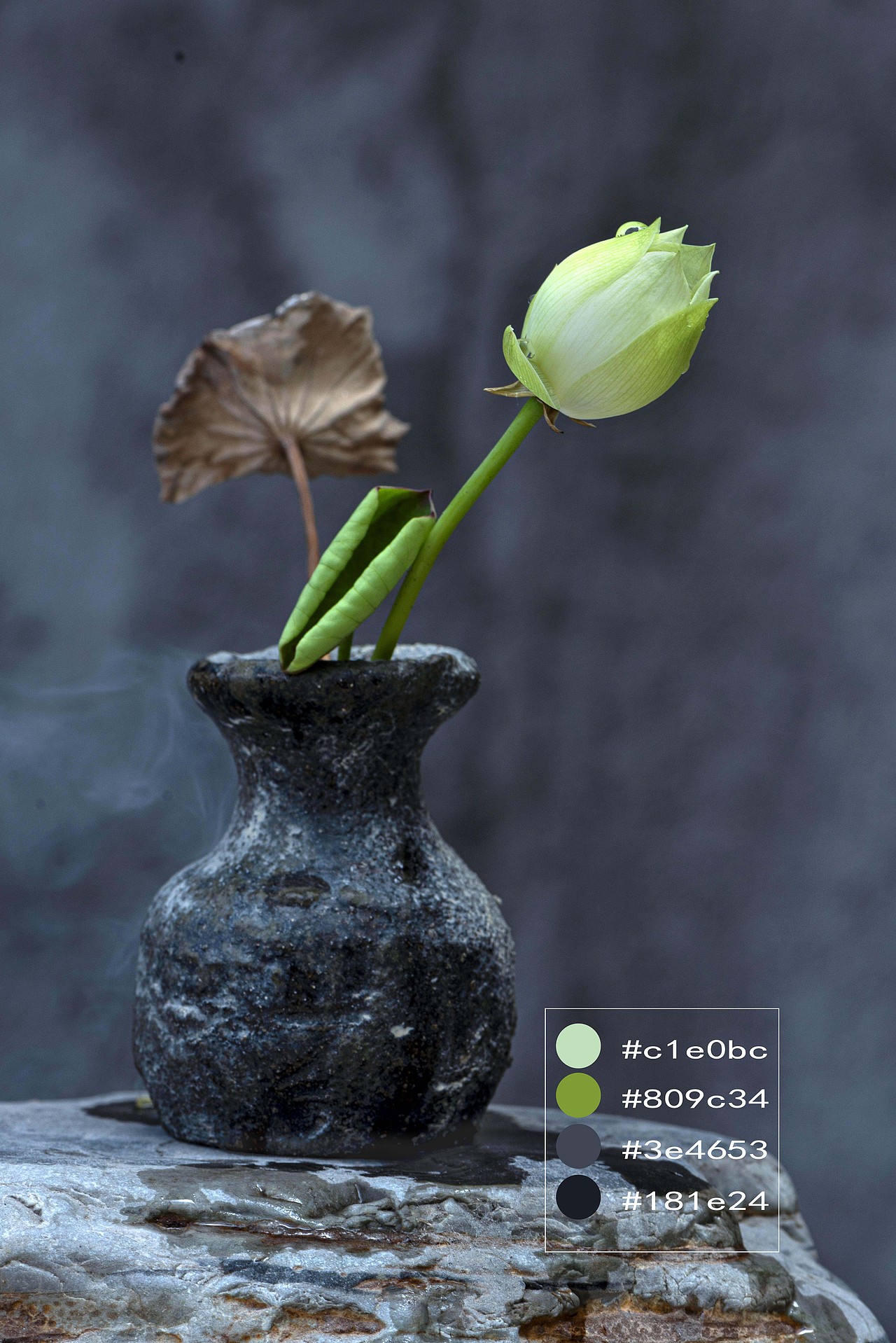 颜色搭配和构图练习(8)