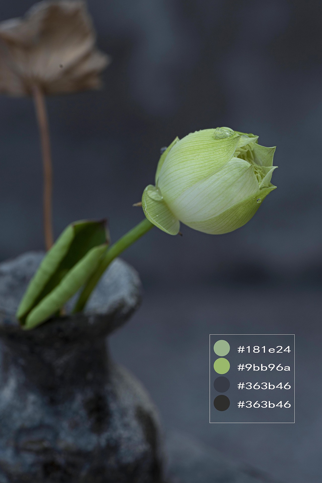 颜色搭配和构图练习(8)