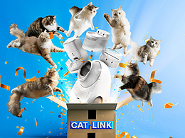 CATLINK海外品牌节日运营 2024年终总结