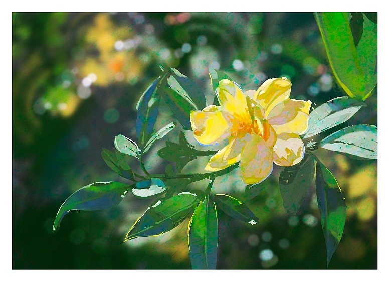 2024练习色彩速途合集（图ZMzgzNDkyNTU2） - 创作习作 - 站酷设计师黑黑_画画版原创素材 - 站酷ZCOOL