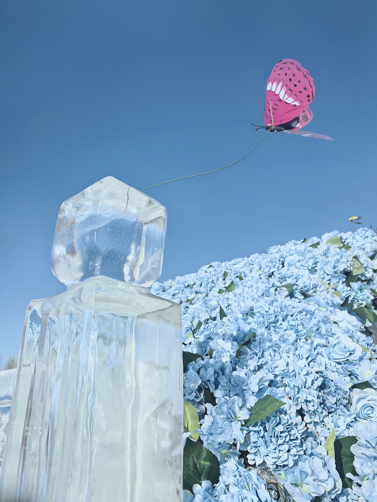 长春是懂浪漫的