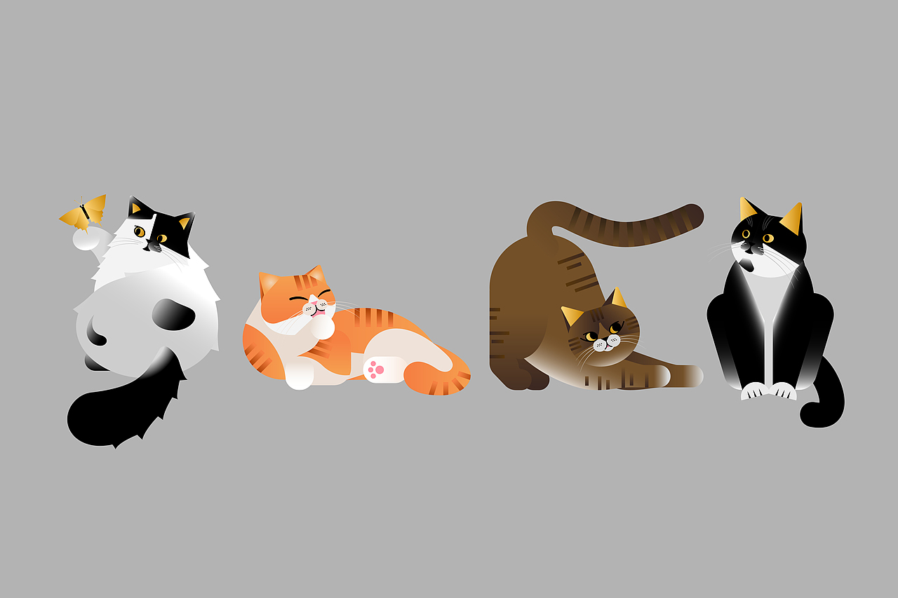 故宫明信片设计