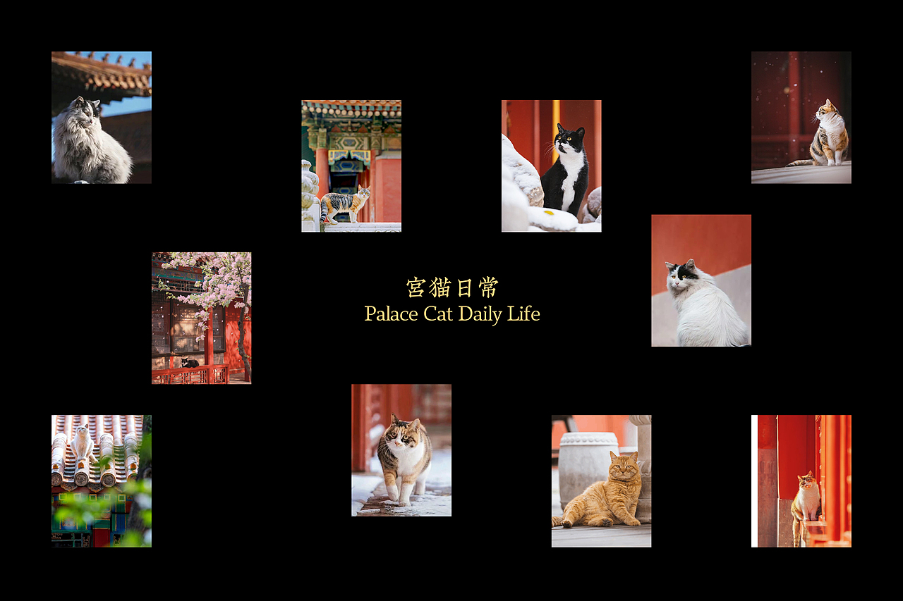 故宫明信片设计