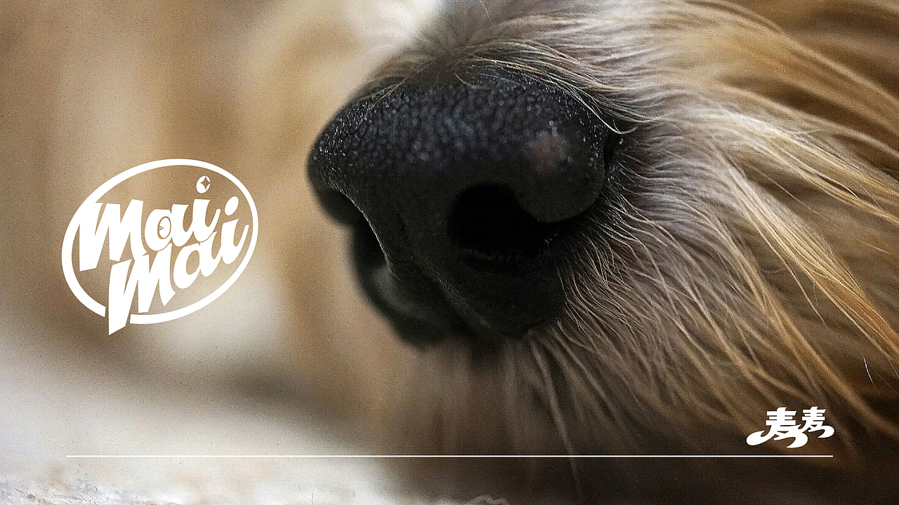 麦麦ip设计 表情包设计