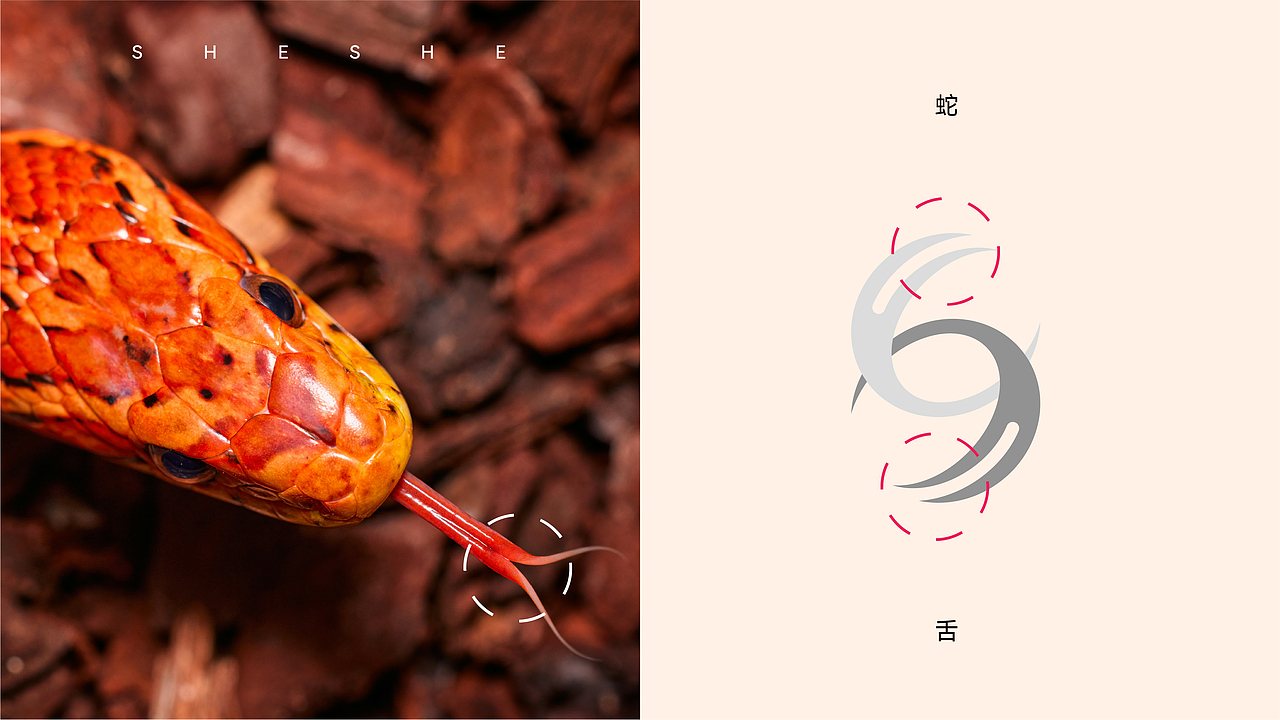 蛇舌 ╳ 盒胜盒 | 情趣品牌标志设计
