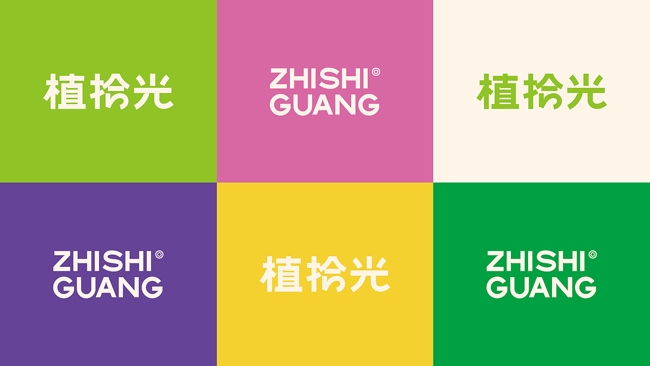 品牌 I 植拾光植物品牌设计