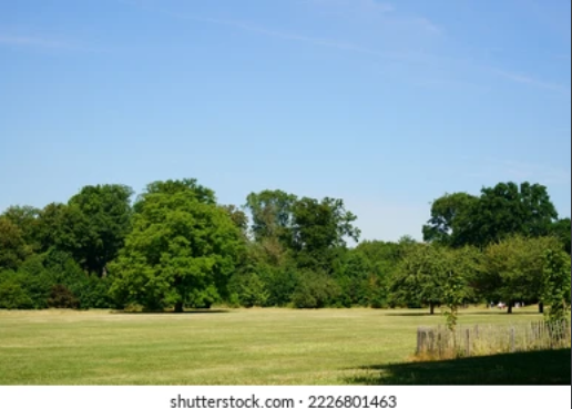 NIUNIUKING的個(gè)人主頁（背景預(yù)覽） - 主頁背景設(shè)置 - 站酷設(shè)計(jì)師NIUNIUKING原創(chuàng)素材 - 站酷ZCOOL