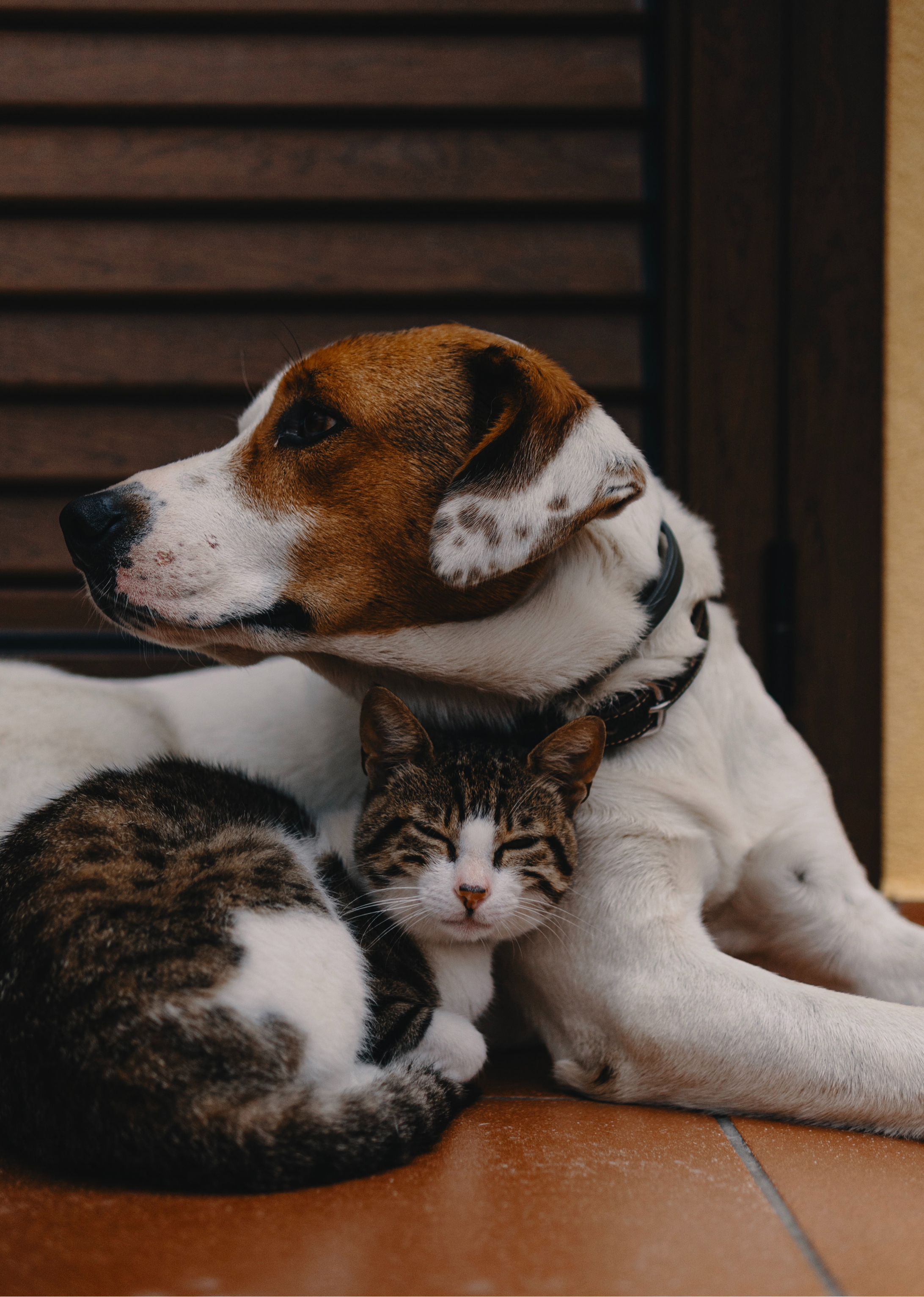 品牌全案团队必看，写给不是设计师的设计课