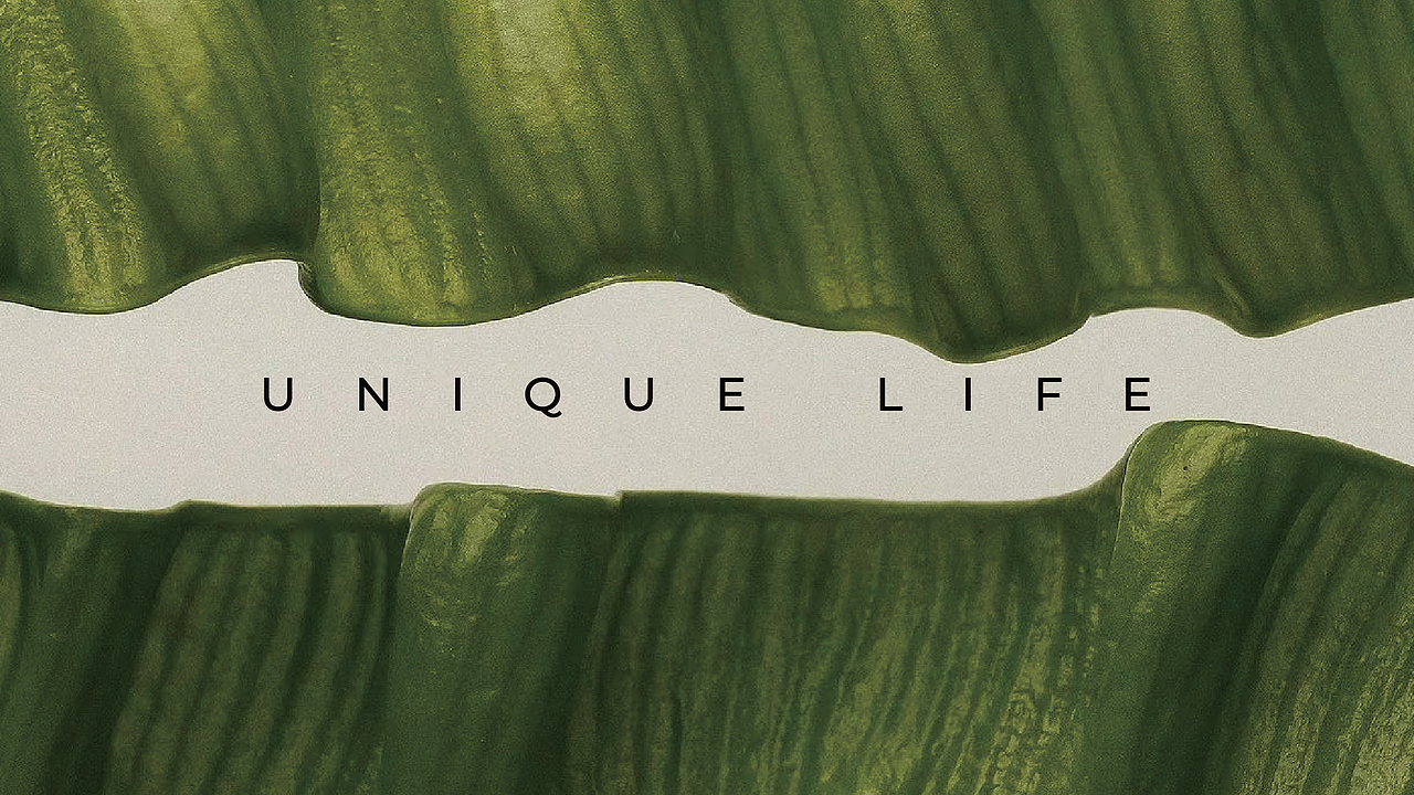 护肤品牌设计｜把美好留在三月四季的青春里（图ZMzgzNTUxMTY4） - 品牌 - 站酷设计师DiD品牌设计机构原创素材 - 站酷ZCOOL