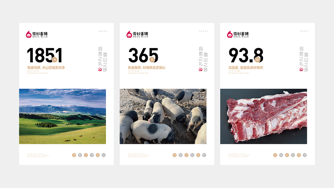 【小香猪品牌全案】萌态可掬,味美天下🐖🌟