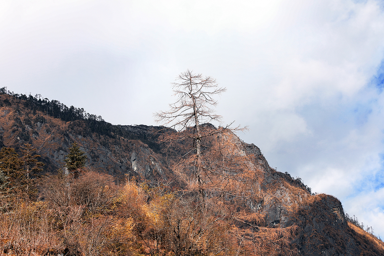 独龙江，雾里村，龙云村，村庄，溪水（图ZMzgzNTU5NjI0） - 风光摄影 - 站酷设计师雪子猴原创素材 - 站酷ZCOOL