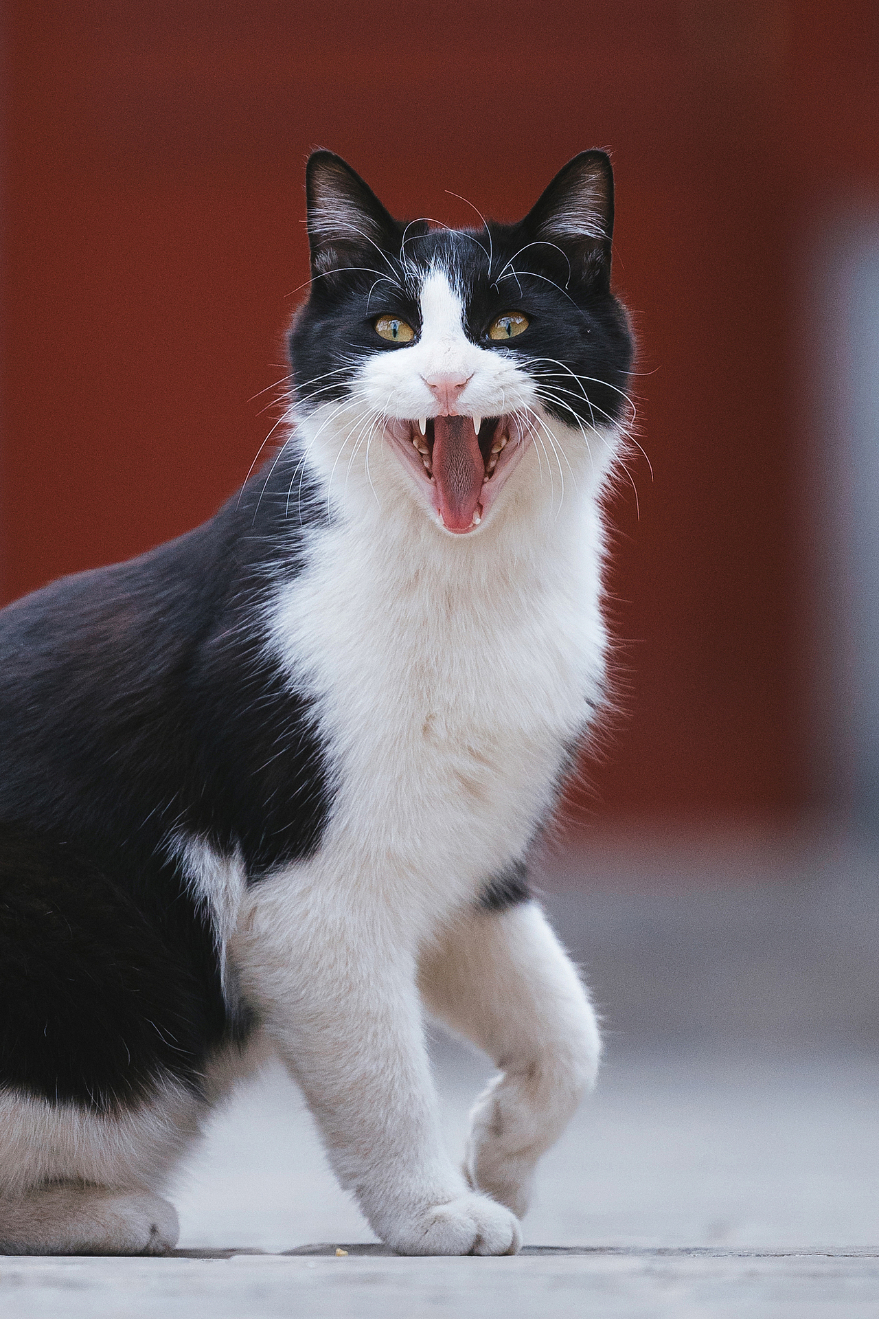 2024 · 定格温暖的瞬间