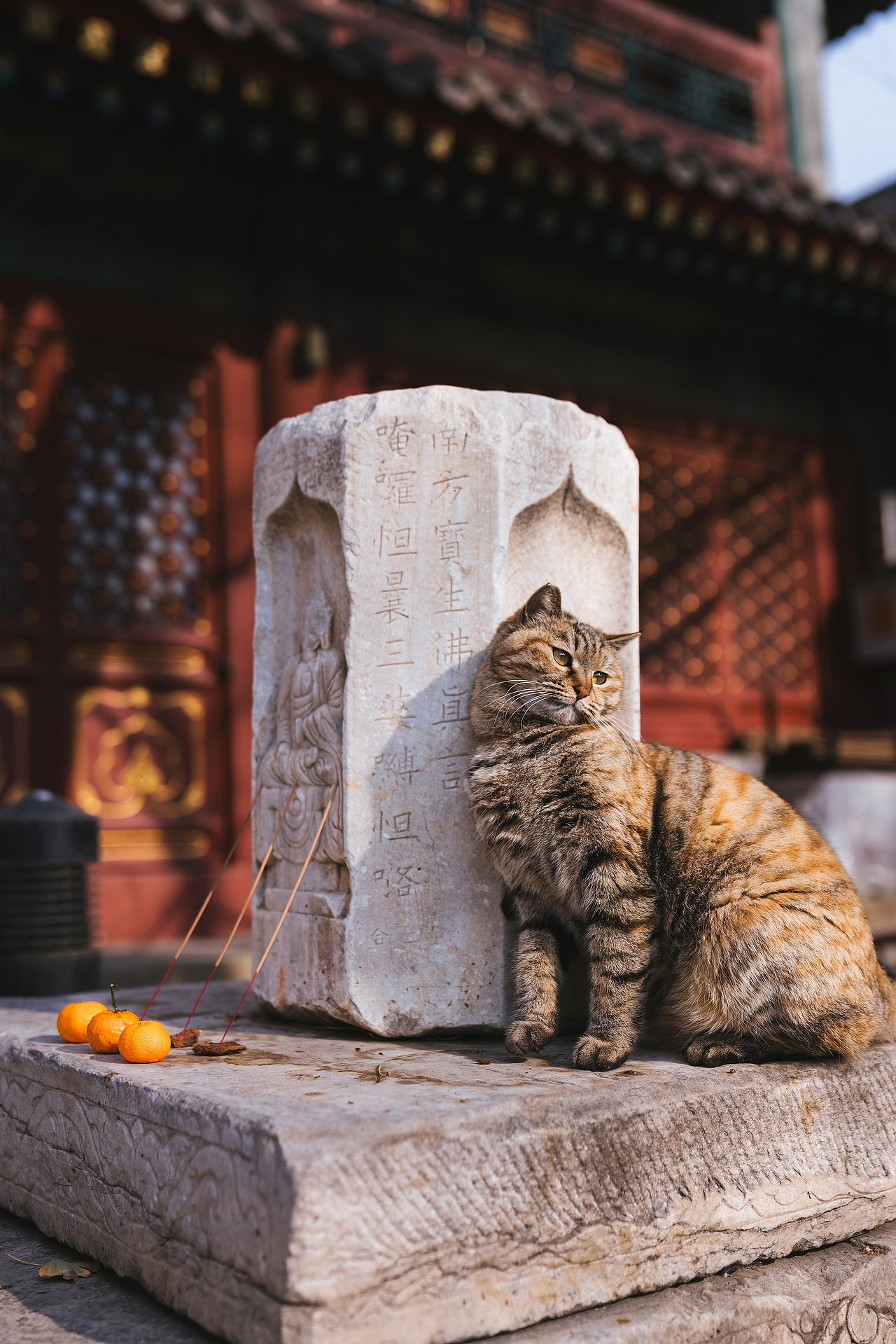 2024 · 定格温暖的瞬间