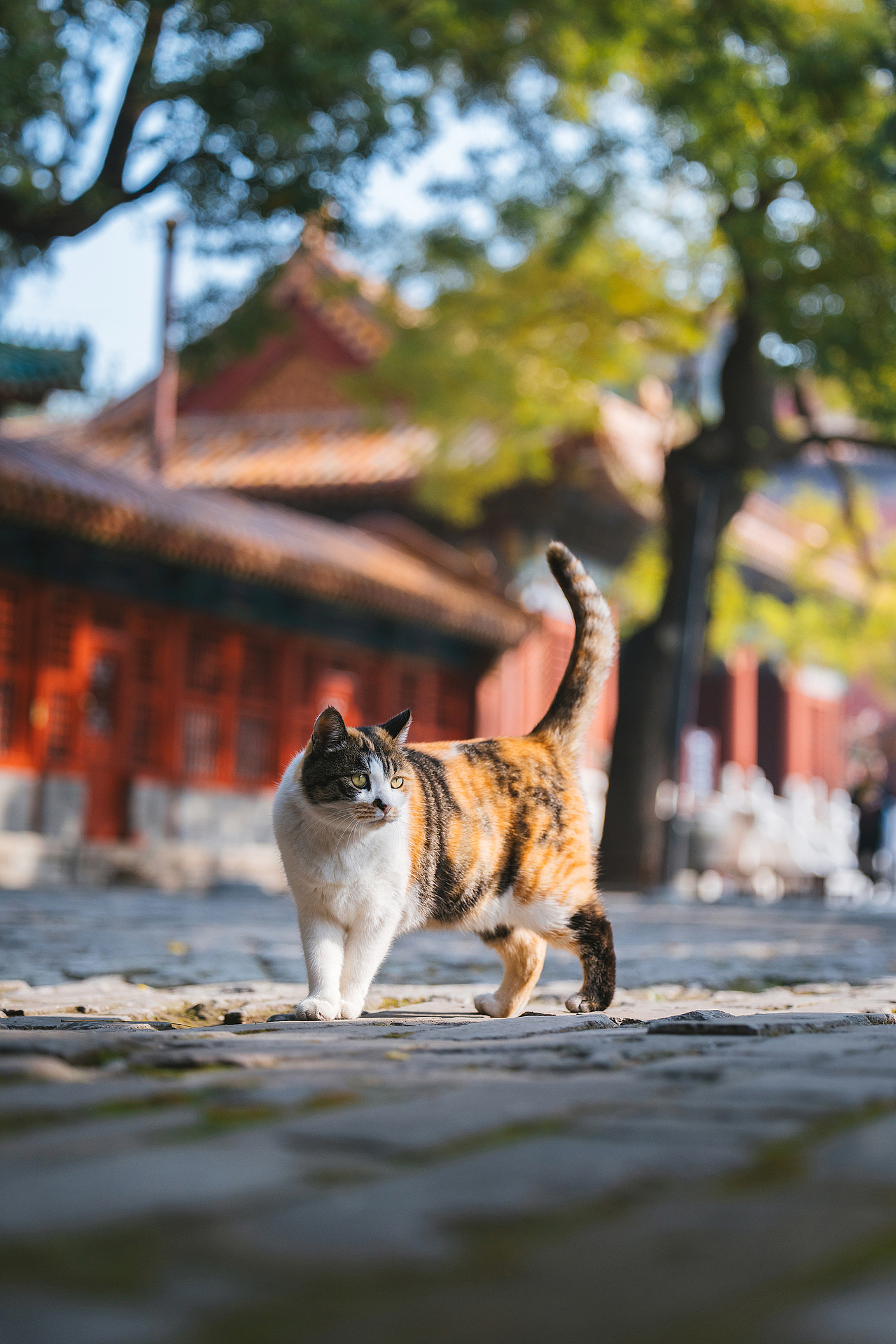 2024 · 定格温暖的瞬间