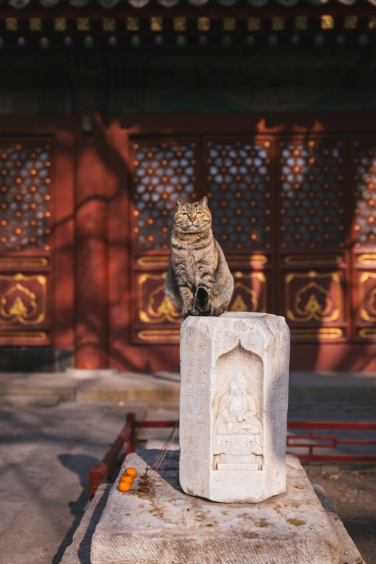 2024 · 定格温暖的瞬间