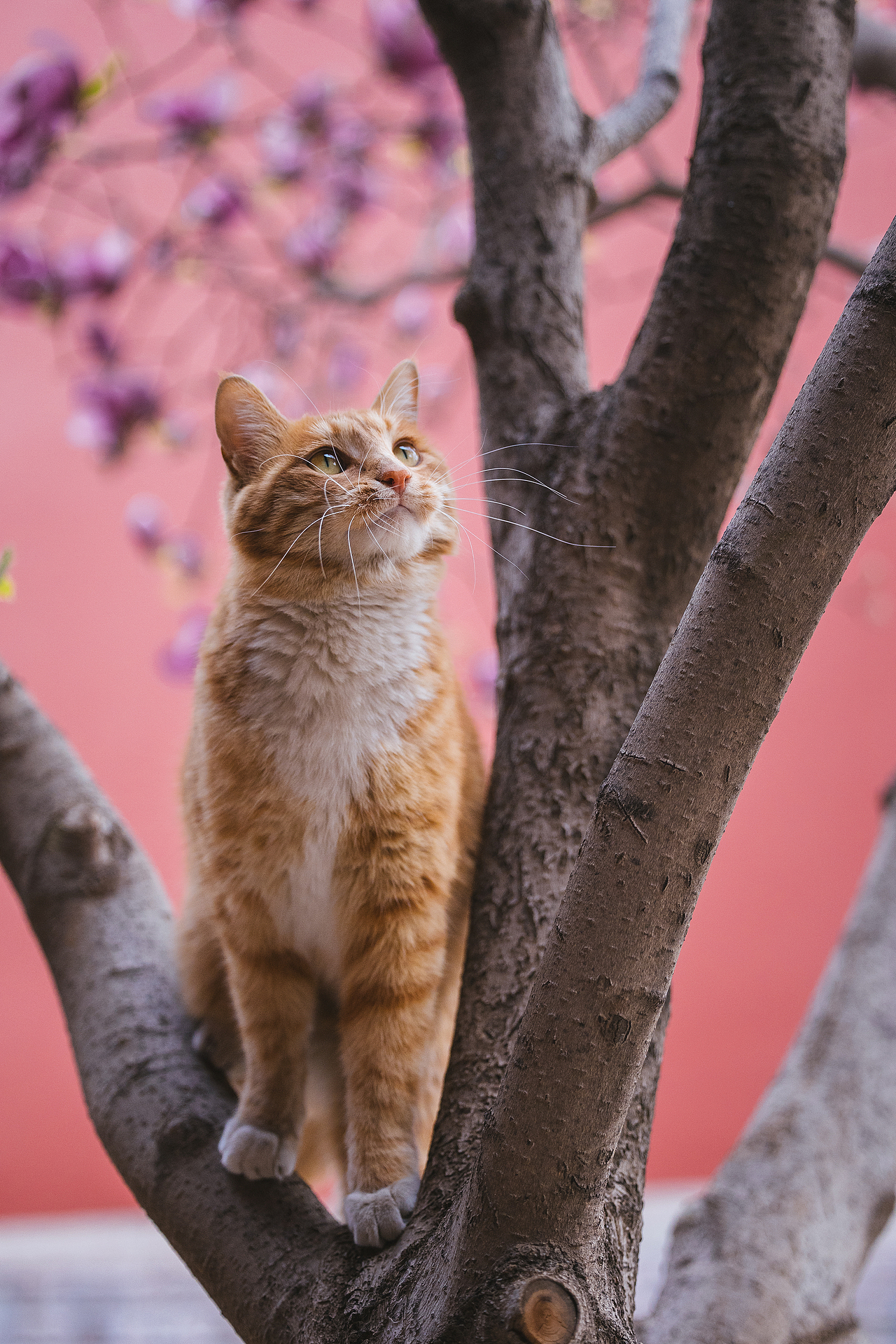 2024 · 定格温暖的瞬间