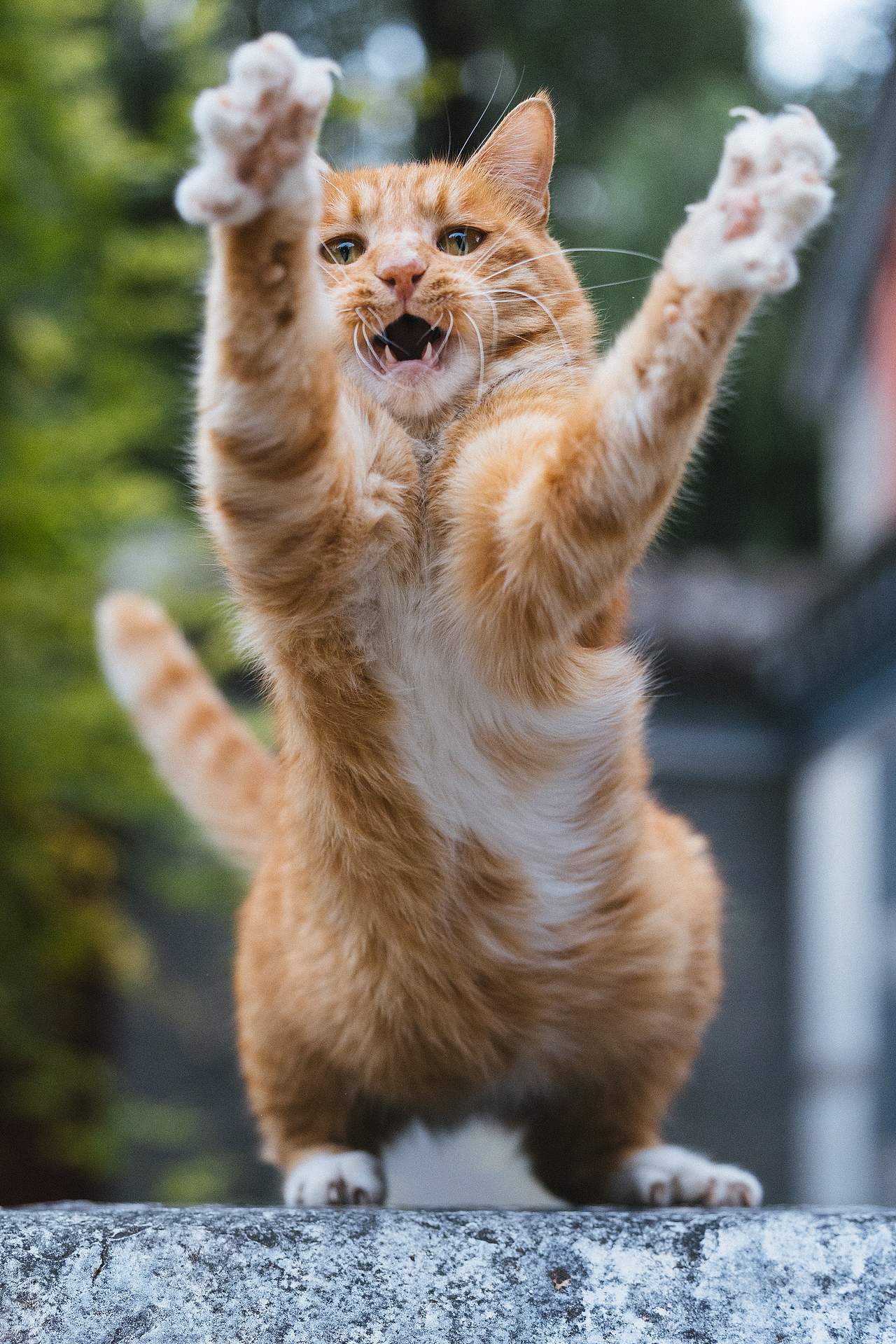 2024 · 定格温暖的瞬间