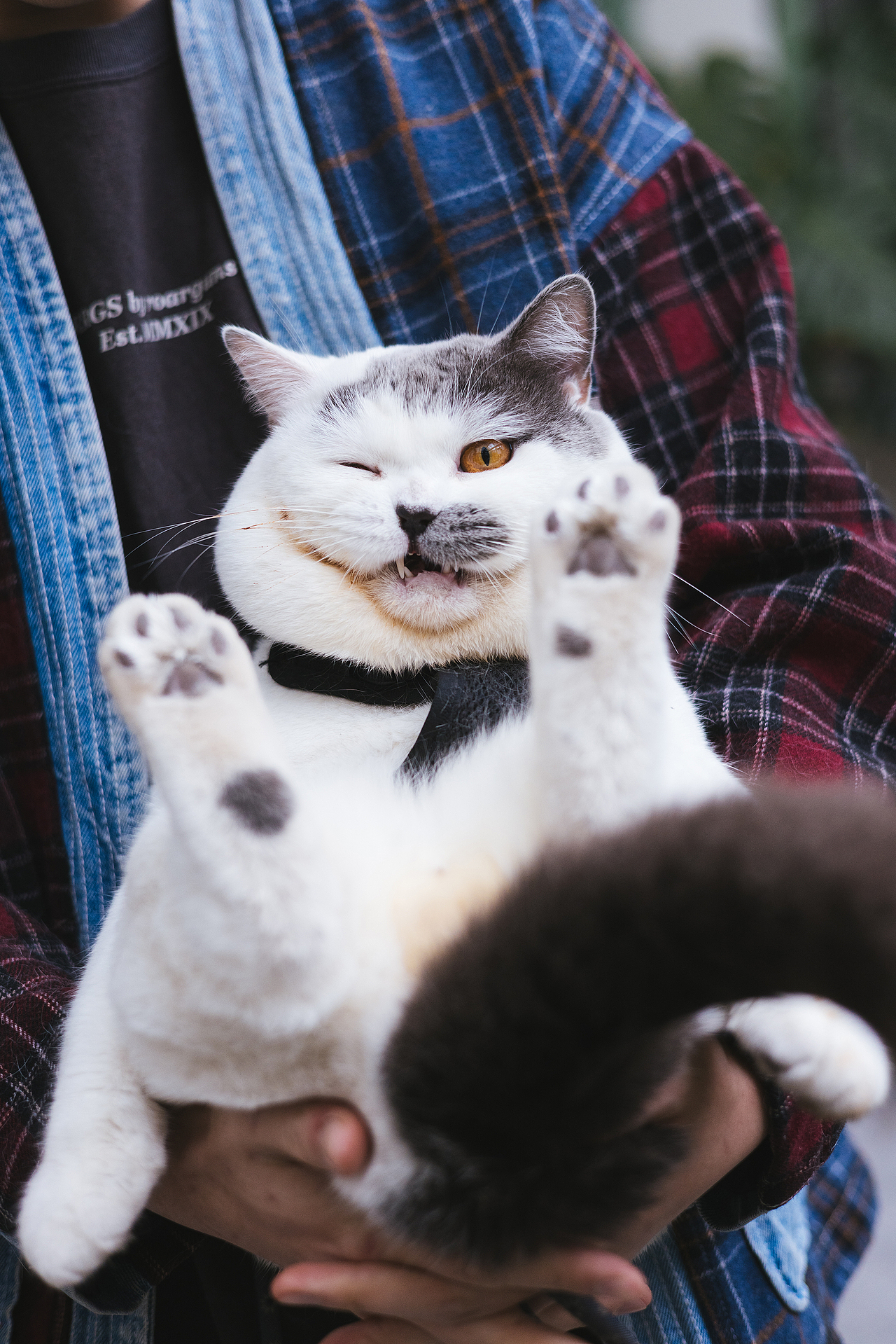 2024 · 定格温暖的瞬间