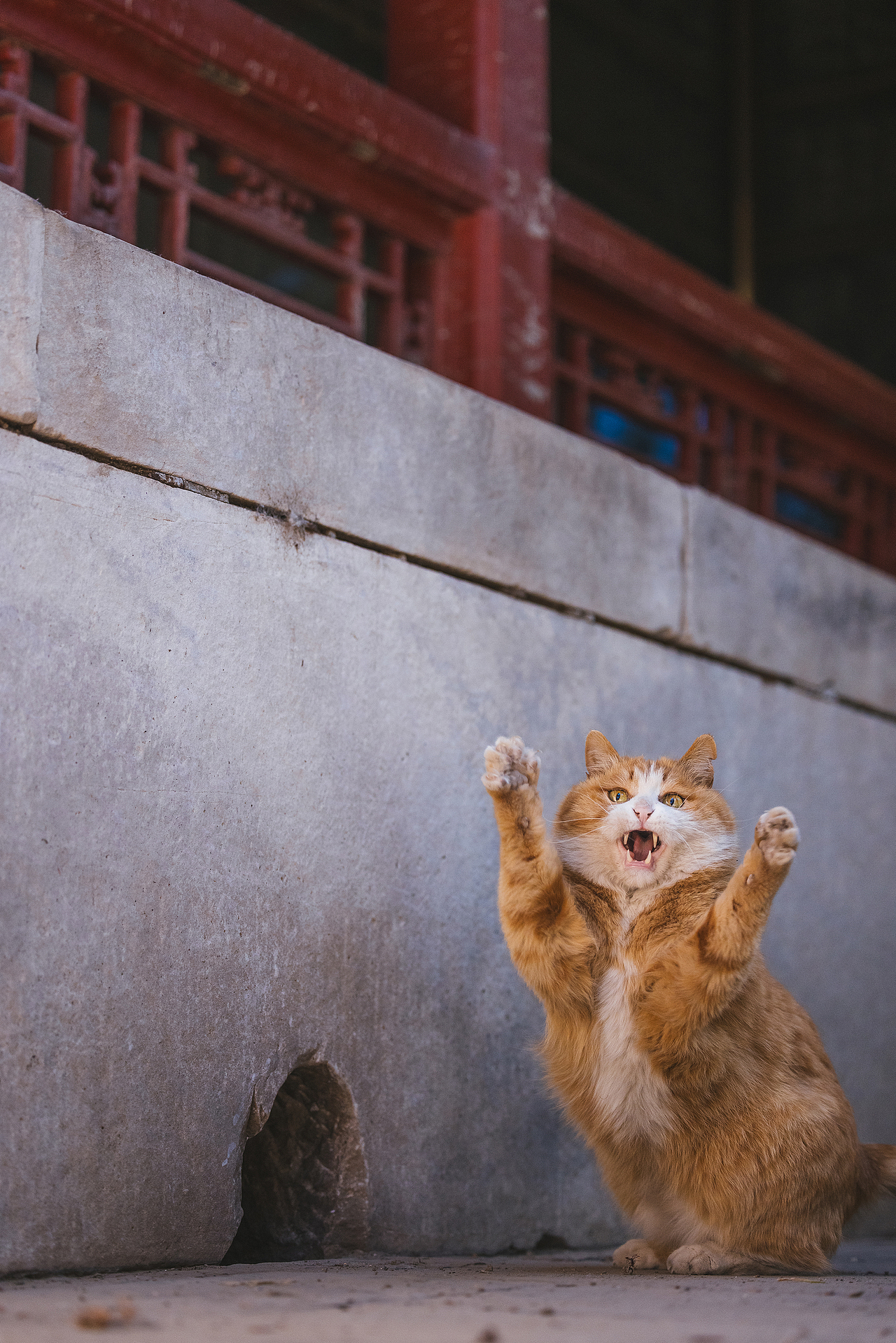 2024 · 定格温暖的瞬间