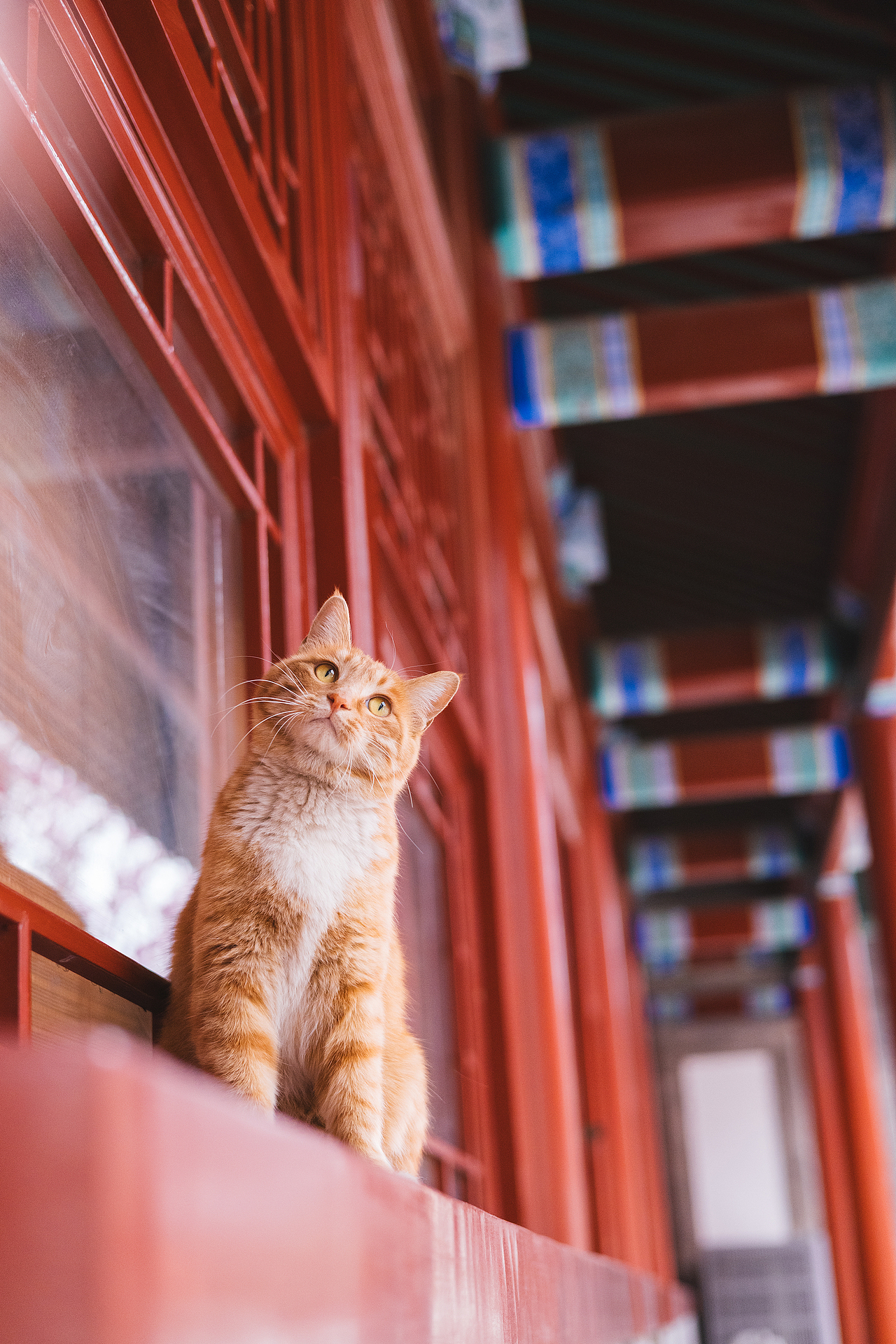 2024 · 定格温暖的瞬间