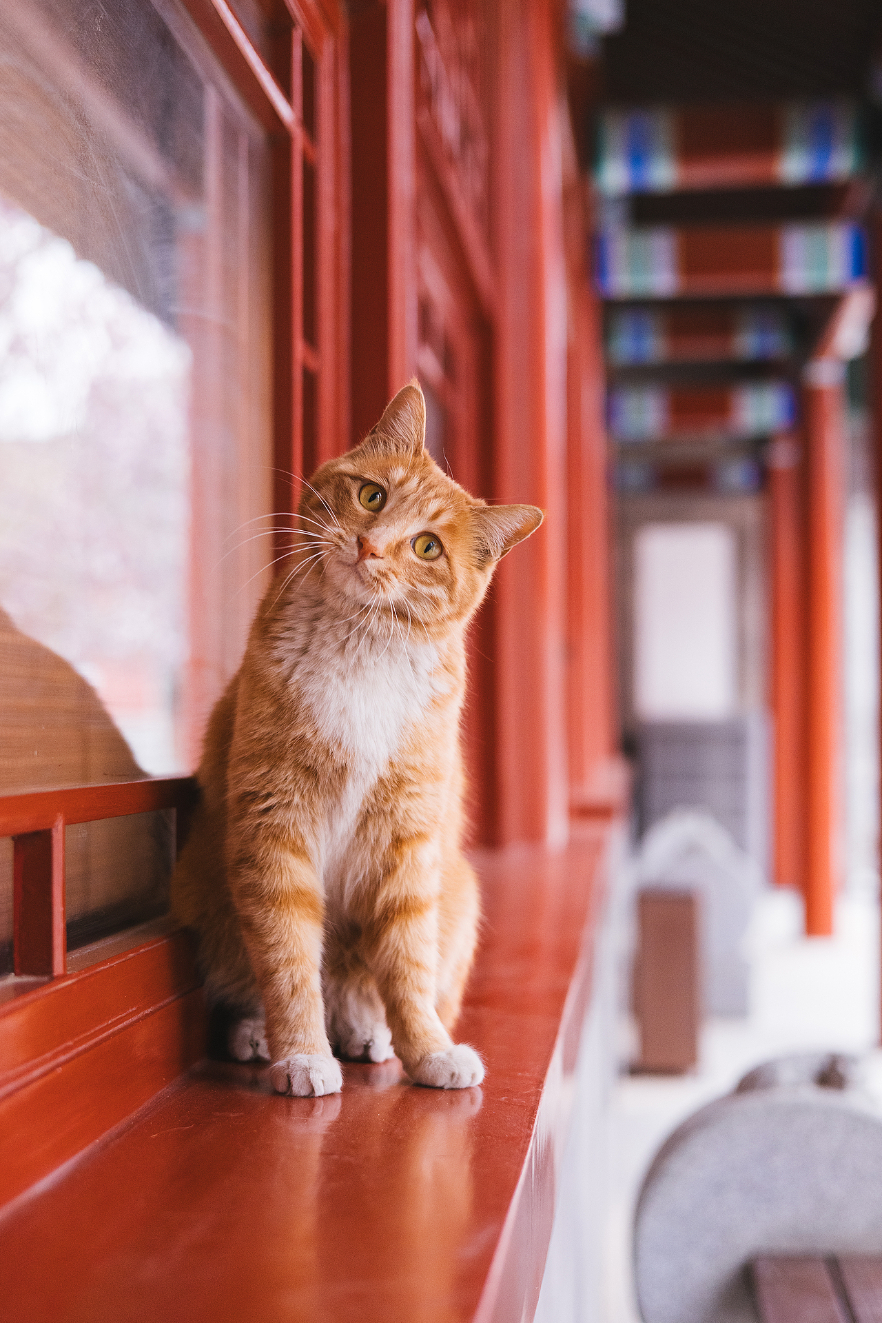 2024 · 定格温暖的瞬间