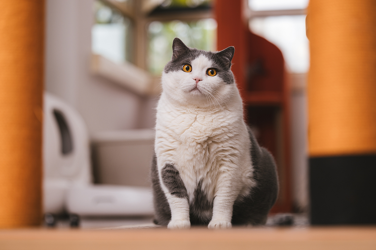 2024 · 定格温暖的瞬间