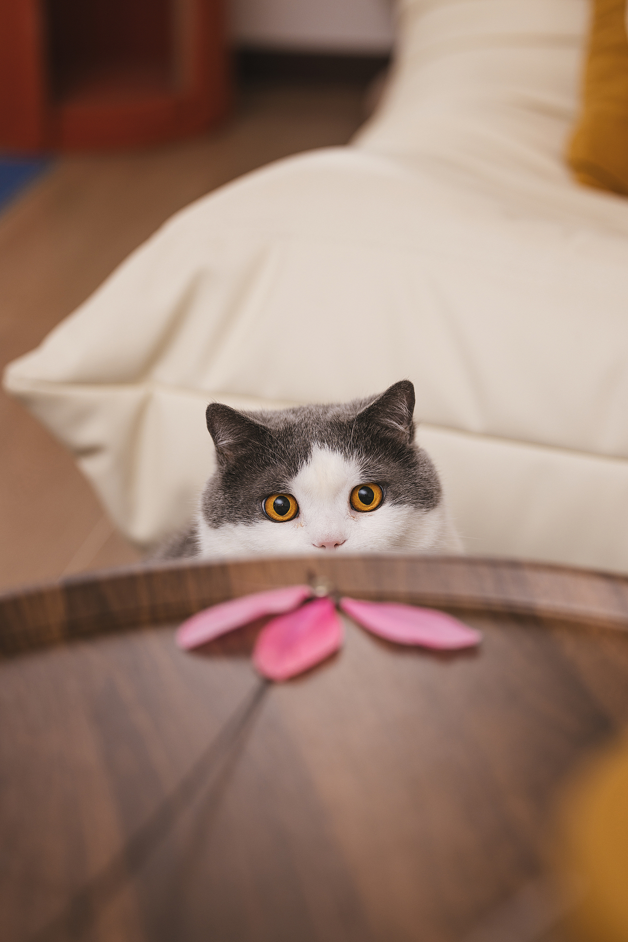 2024 · 定格温暖的瞬间