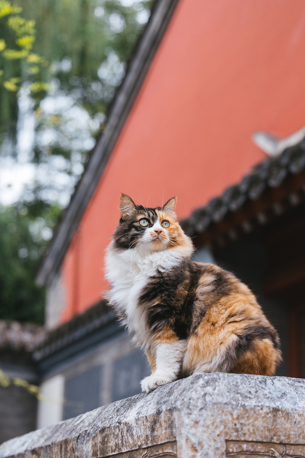 2024 · 定格温暖的瞬间