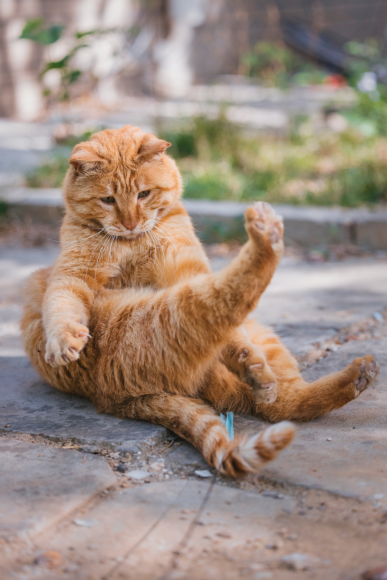 2024 · 定格温暖的瞬间