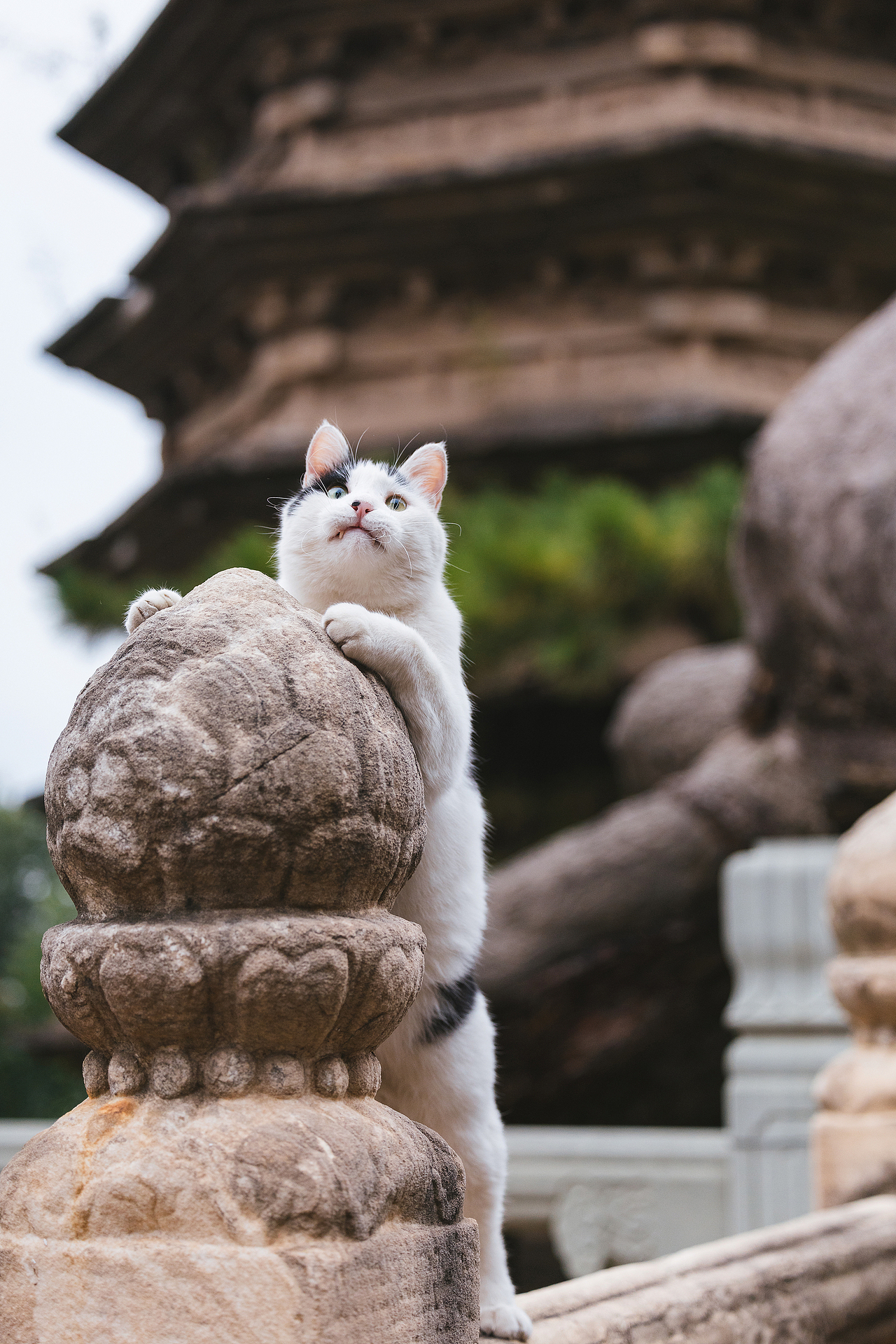 2024 · 定格温暖的瞬间