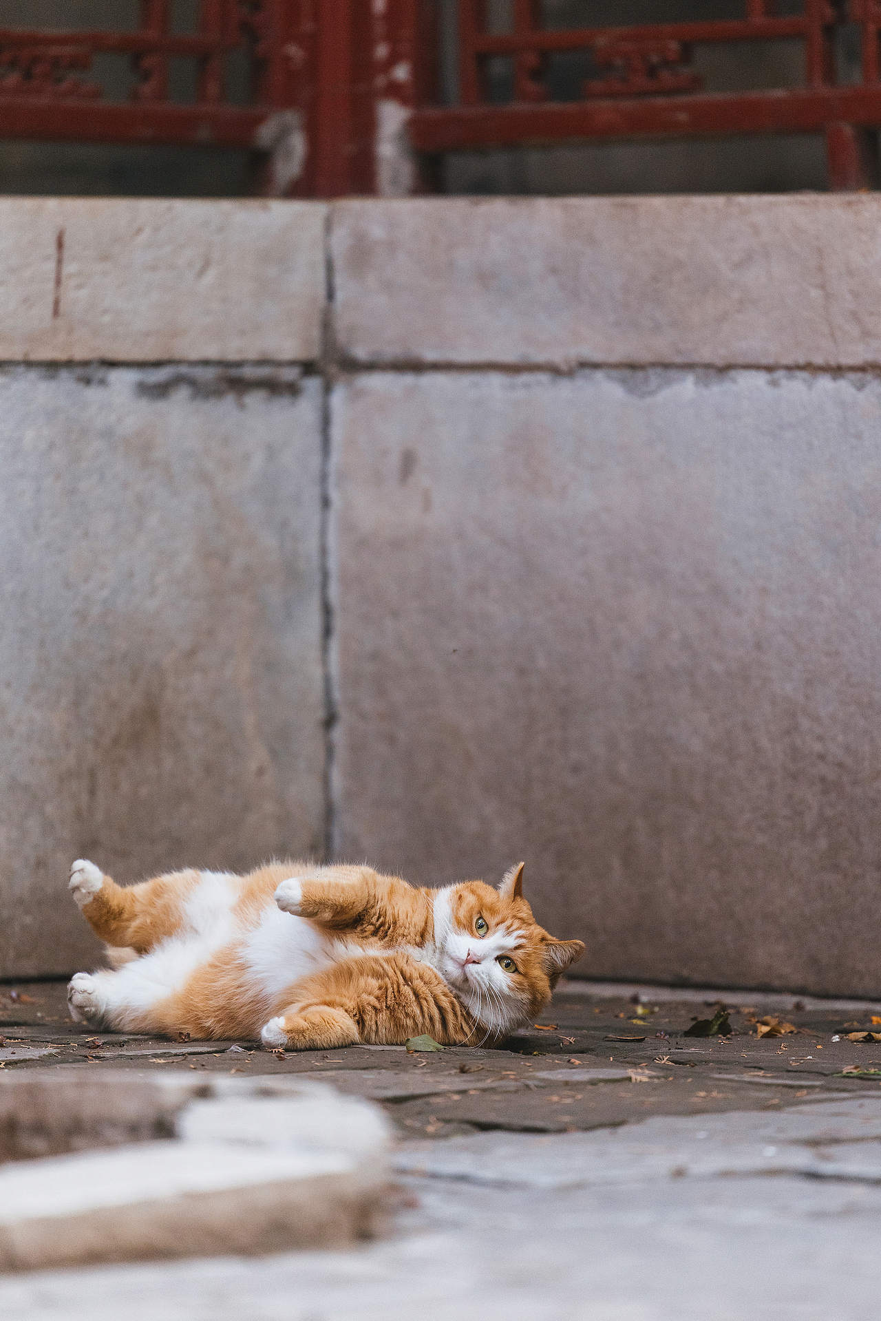 2024 · 定格温暖的瞬间