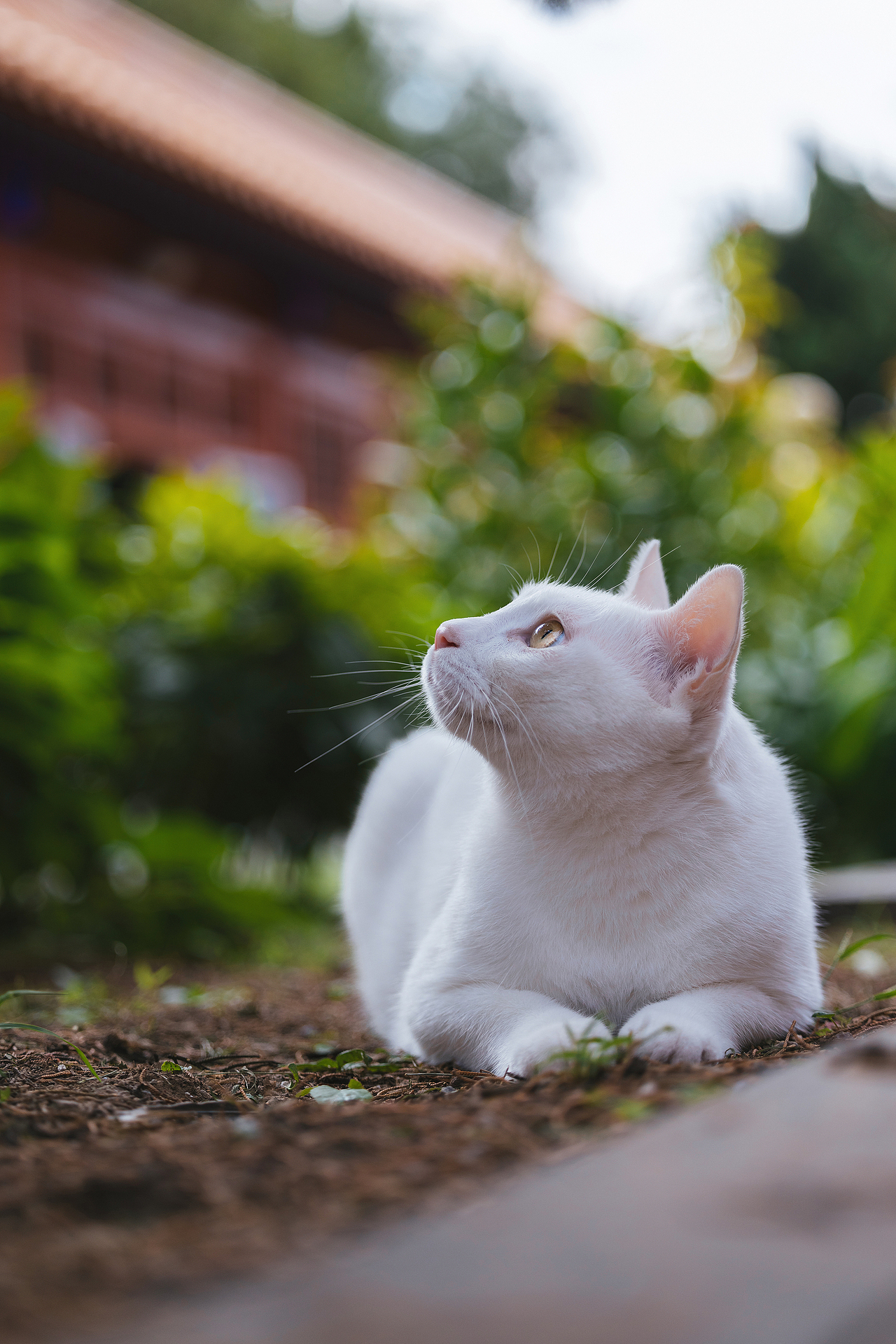 2024 · 定格温暖的瞬间