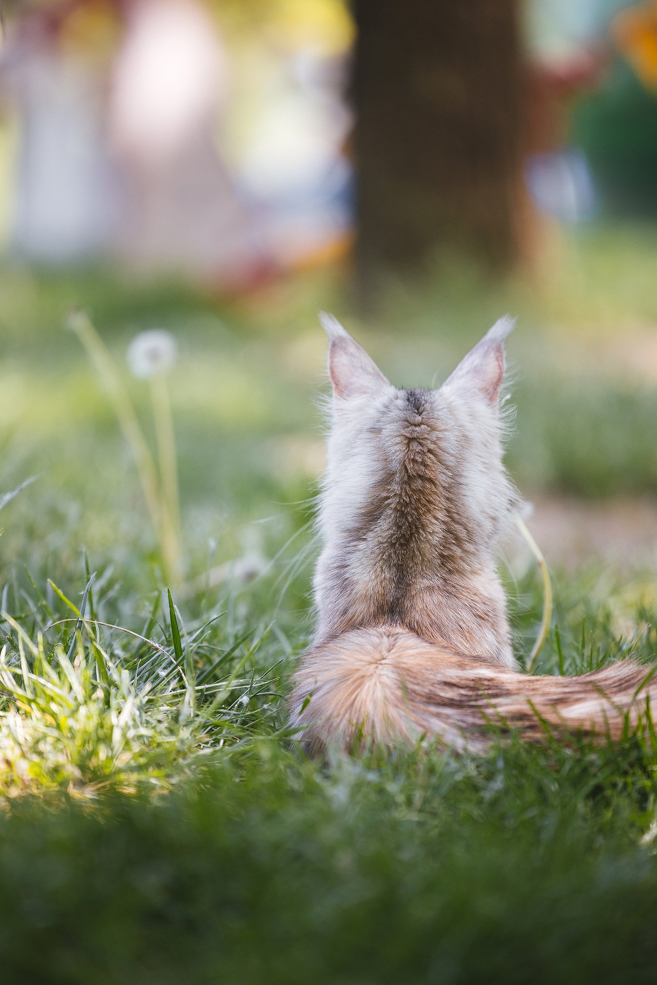 2024 · 定格温暖的瞬间