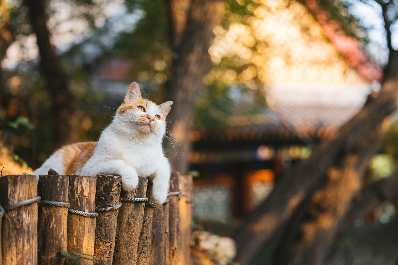 2024 · 定格温暖的瞬间