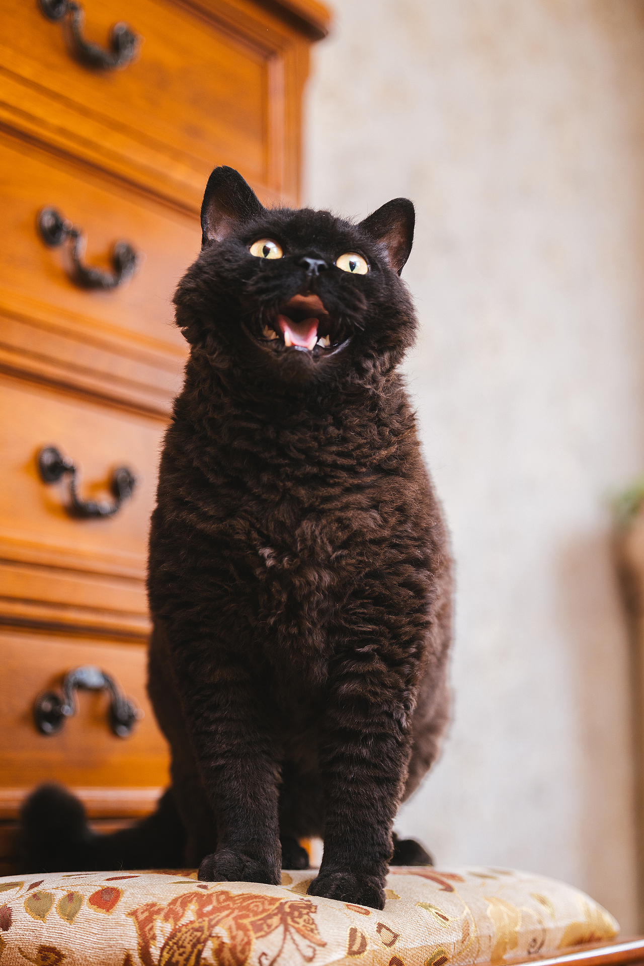 2024 · 定格温暖的瞬间