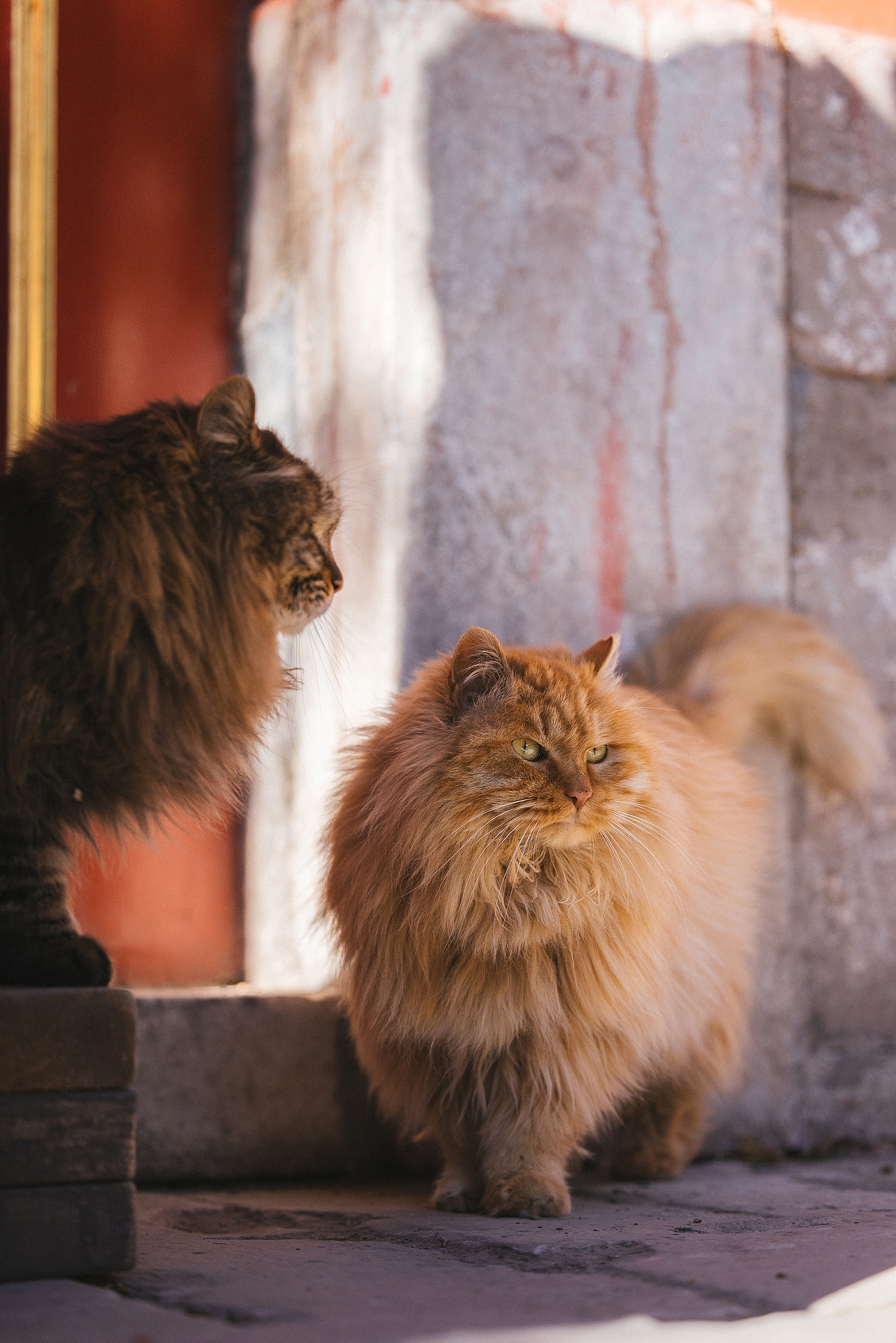 2024 · 定格温暖的瞬间