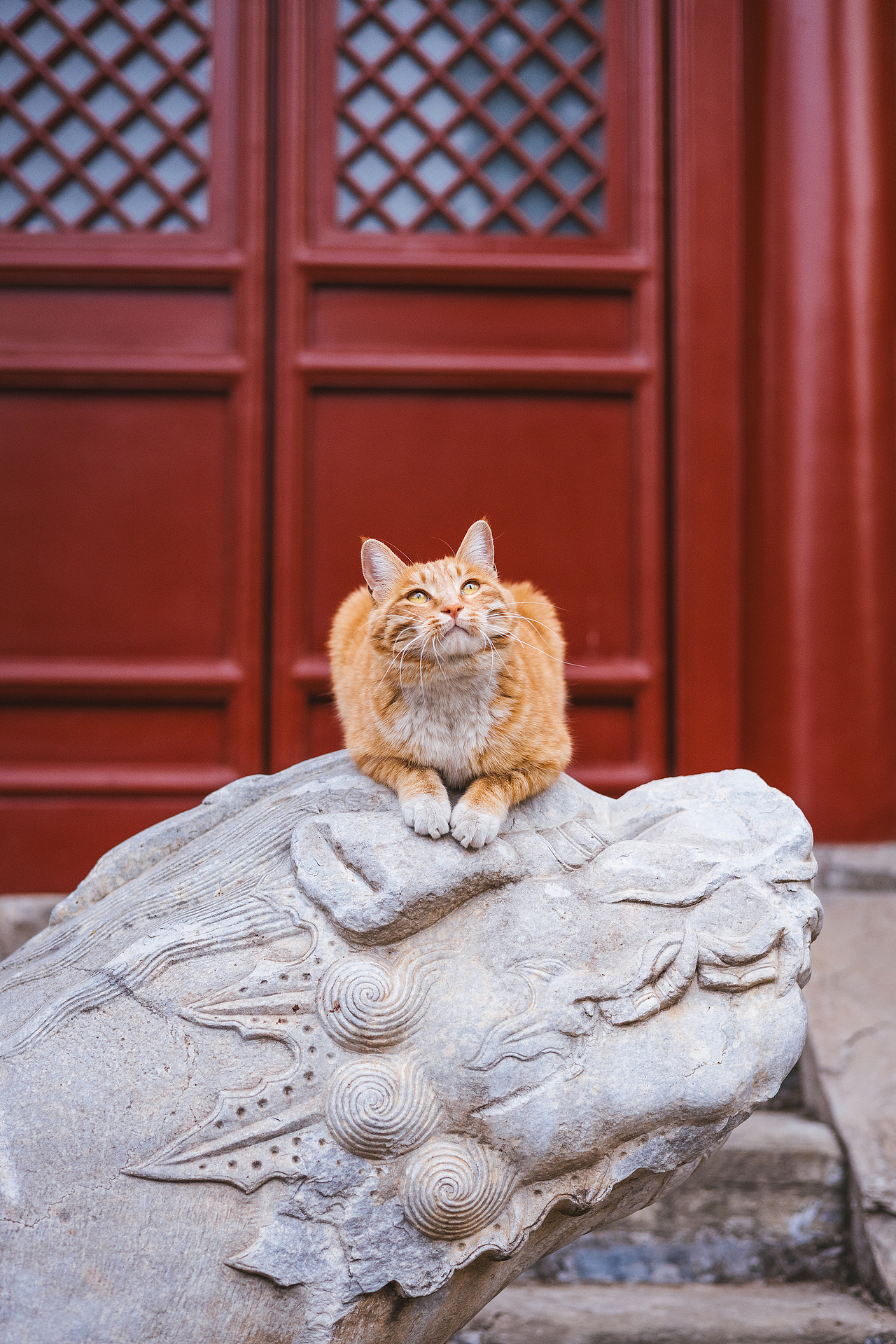 2024 · 定格温暖的瞬间