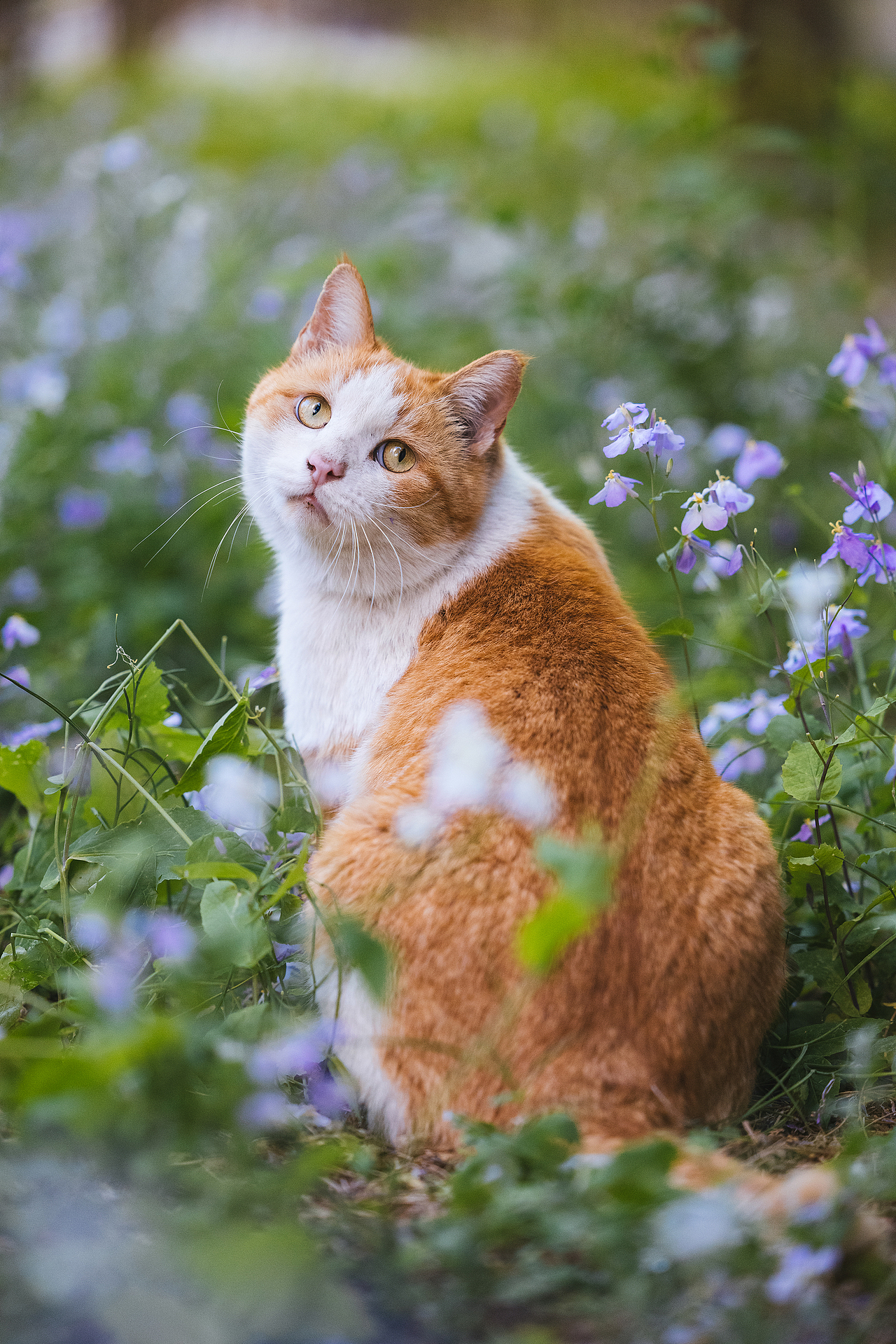 2024 · 定格温暖的瞬间