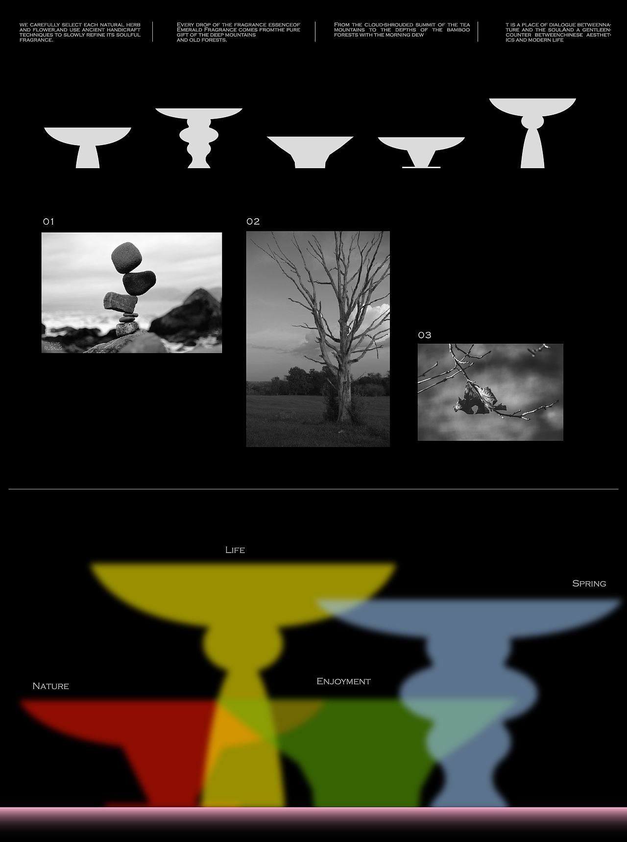 NATURE SPRING 春和景明