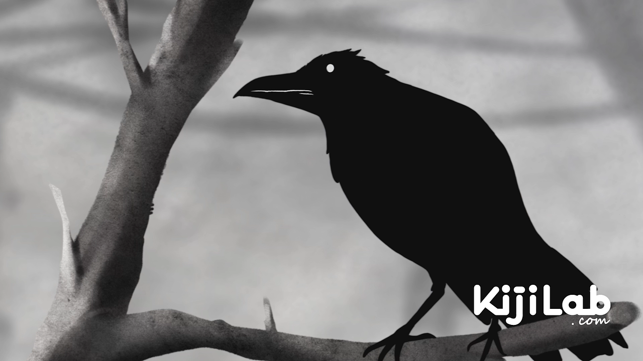 Kiji Lab Showreel 2025