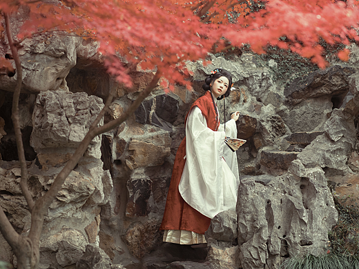 晚秋枫
