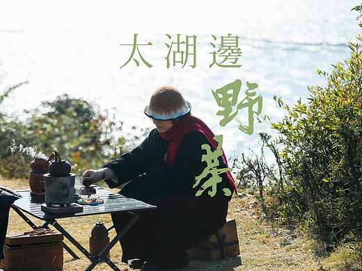 太湖边野茶