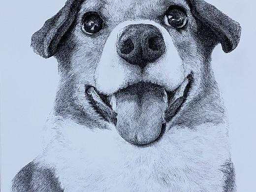 鋼筆畫(huà)??（個(gè)人主頁(yè)-ZNzExNzI5ODQ=） - 繪畫(huà) - 站酷設(shè)計(jì)師向日葵1984原創(chuàng)素材 - 站酷ZCOOL