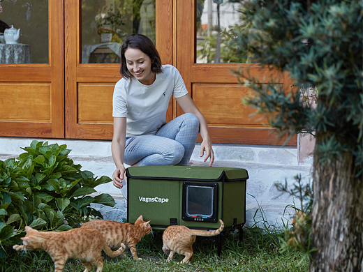 产品拍摄-猫窝-独立站