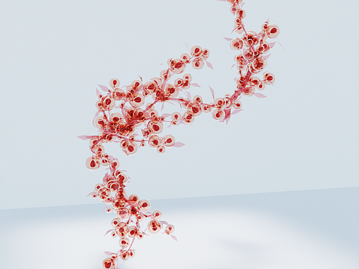 植物生长/3d动画/几何节点/blender