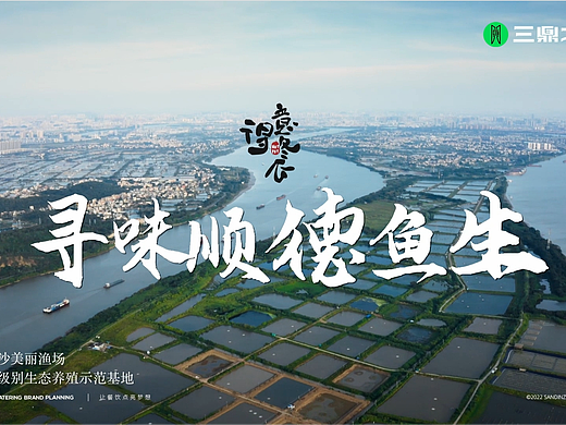 菜品溯源|顺德鱼生X三鼎之力餐饮品牌全案策划