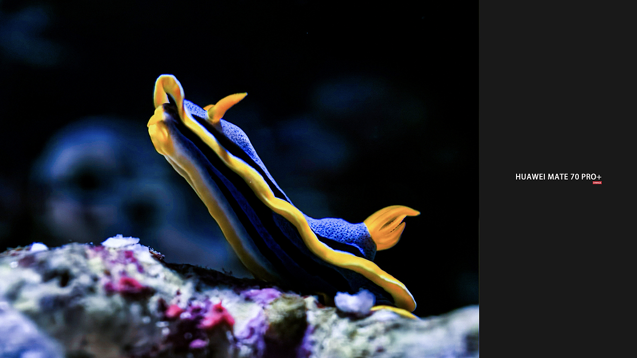 每次长按动态照片,照片动起来的感觉就像是回到了按快门的那一刻,回忆也变得更具象了,好像又经历了一次。——我想这就是动态照片的意义吧