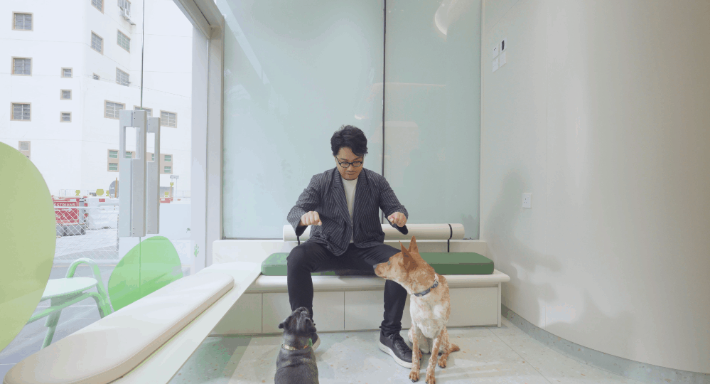 香港SAA动物医疗中心,轻松温暖的人宠双向友好设计