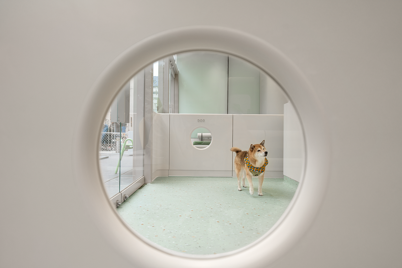 香港SAA动物医疗中心,轻松温暖的人宠双向友好设计