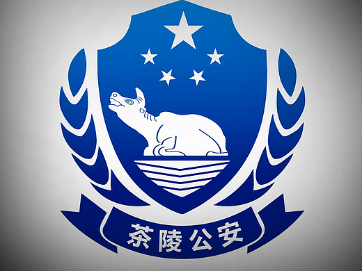 什么是设计中的地域特征？#商标设计 #公安徽标 #LOGO设计 #品牌设计 #雨田侃设计 